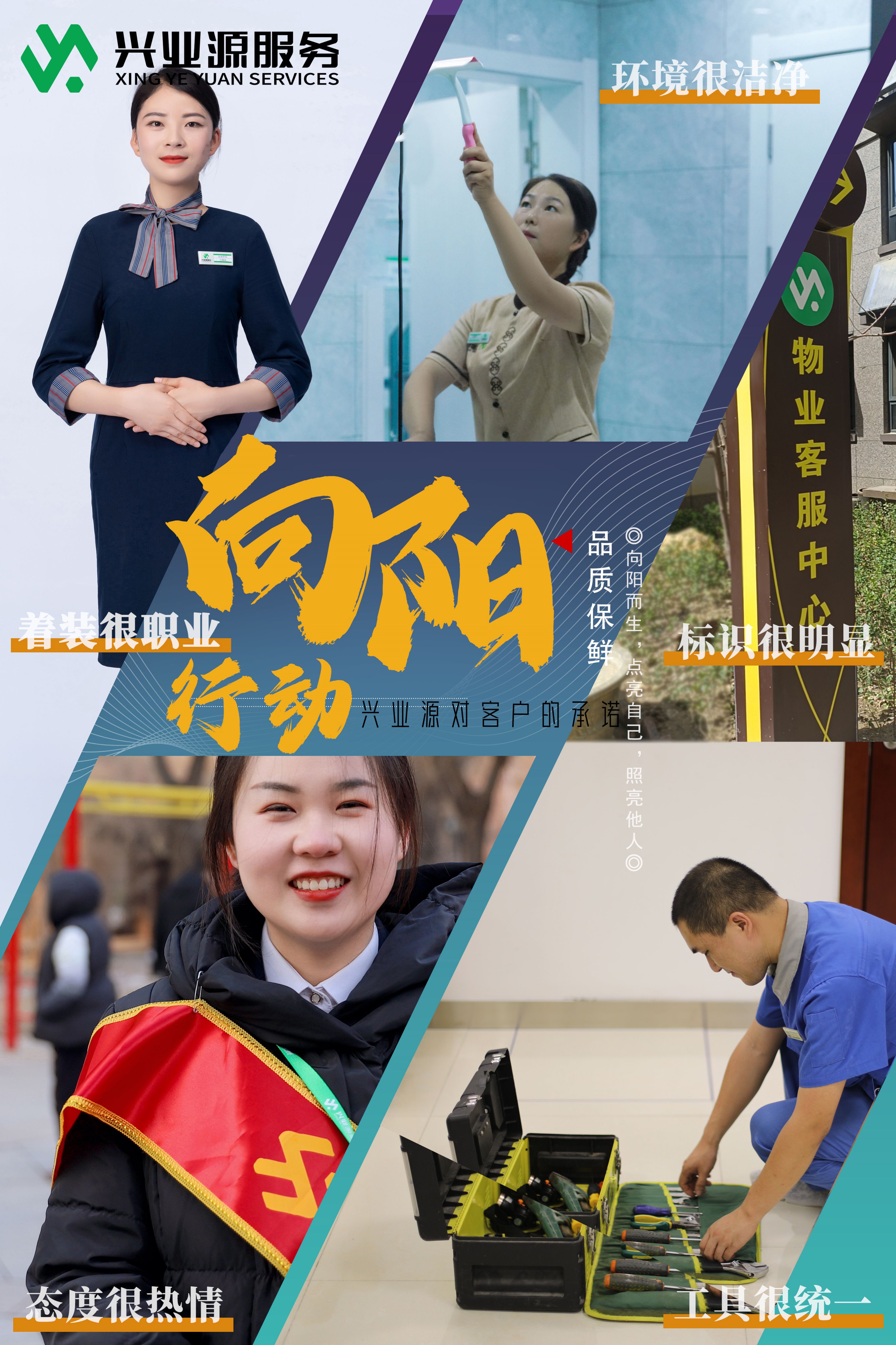 向阳行动主图(1).jpg